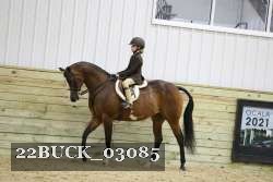 22BUCK_03085 proof