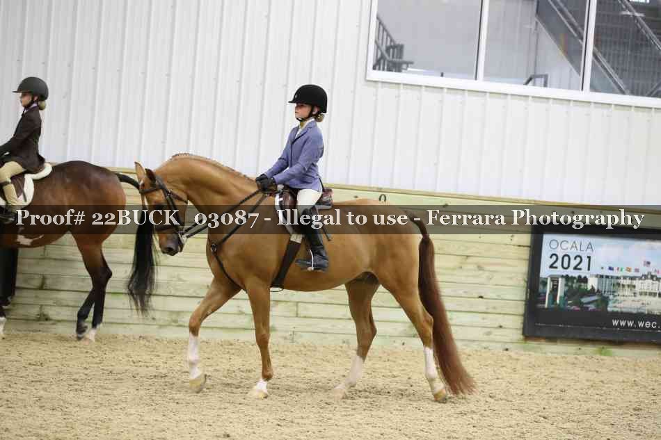 Proof 22BUCK_03087