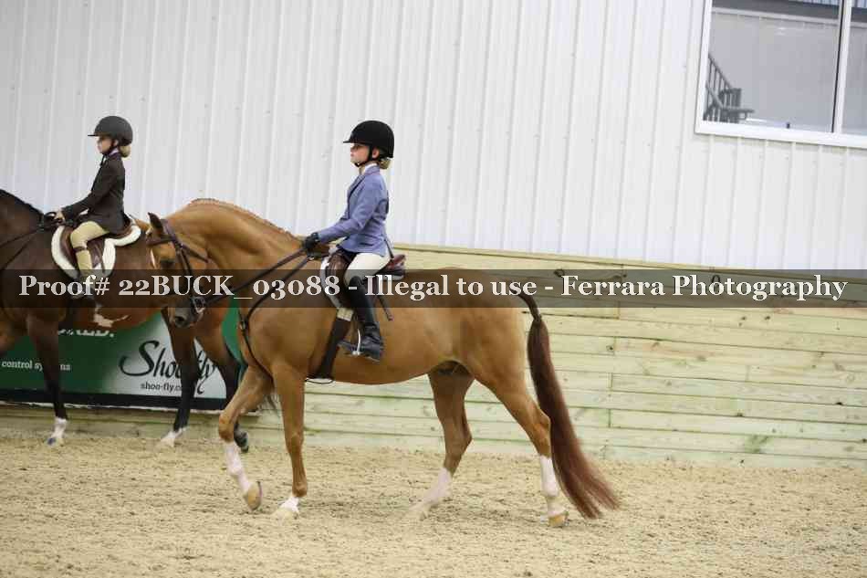 Proof 22BUCK_03088