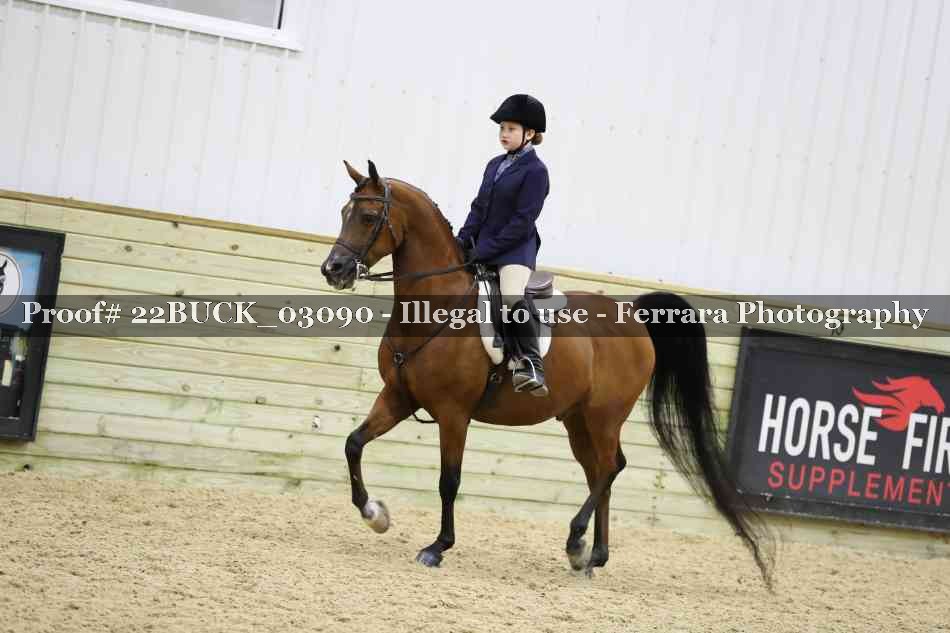 Proof 22BUCK_03090