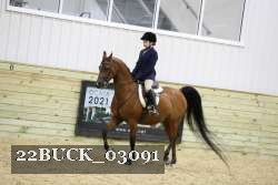 22BUCK_03091 proof
