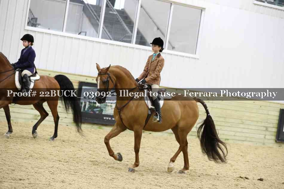Proof 22BUCK_03092