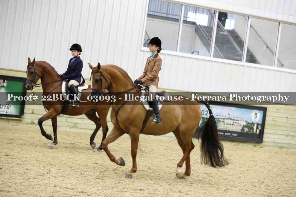 Proof 22BUCK_03093