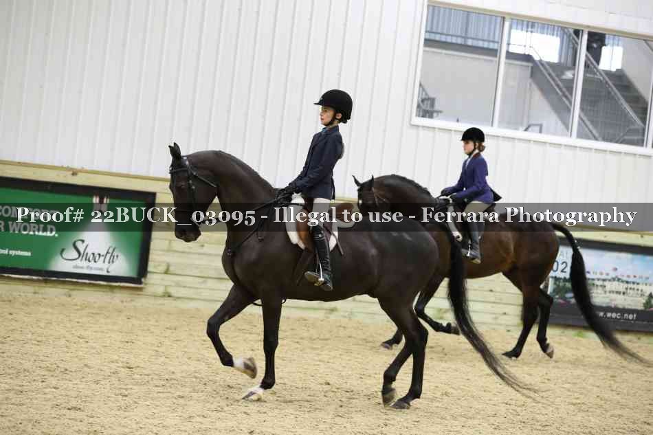 Proof 22BUCK_03095