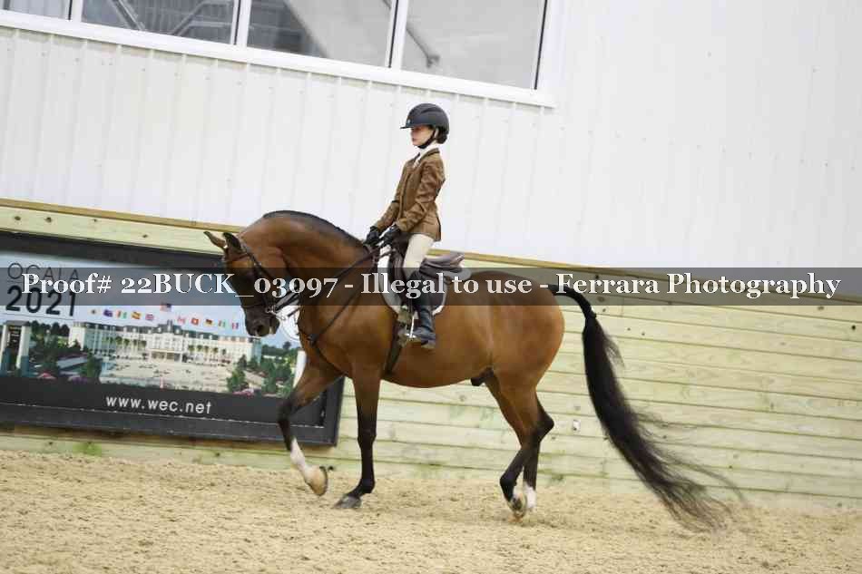 Proof 22BUCK_03097