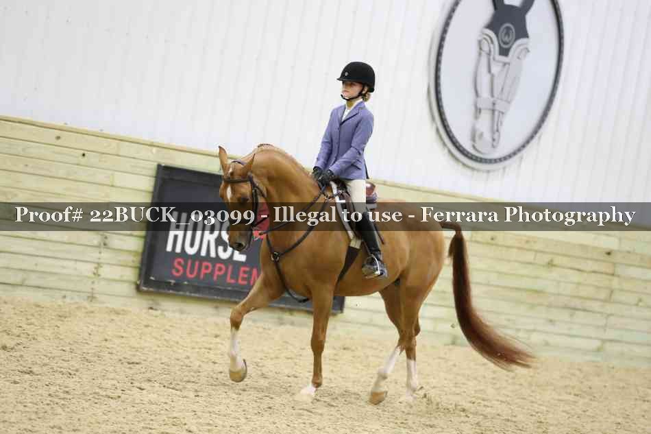 Proof 22BUCK_03099