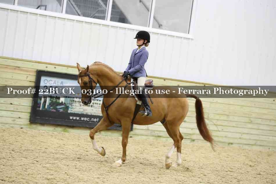 Proof 22BUCK_03100