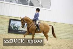 22BUCK_03100 proof