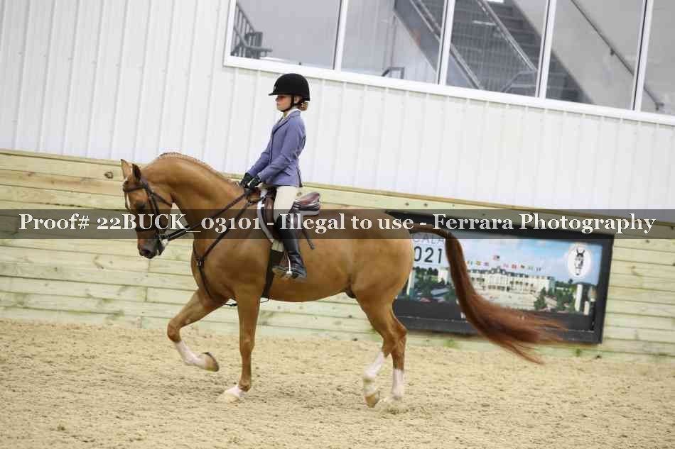 Proof 22BUCK_03101