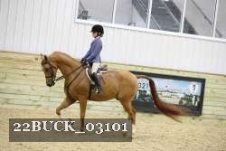 22BUCK_03101 proof