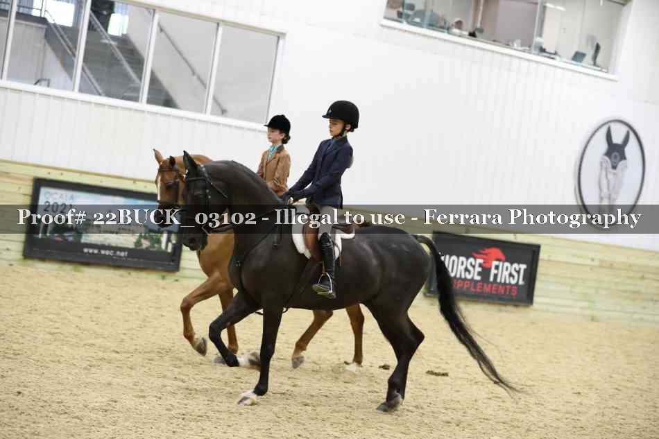 Proof 22BUCK_03102