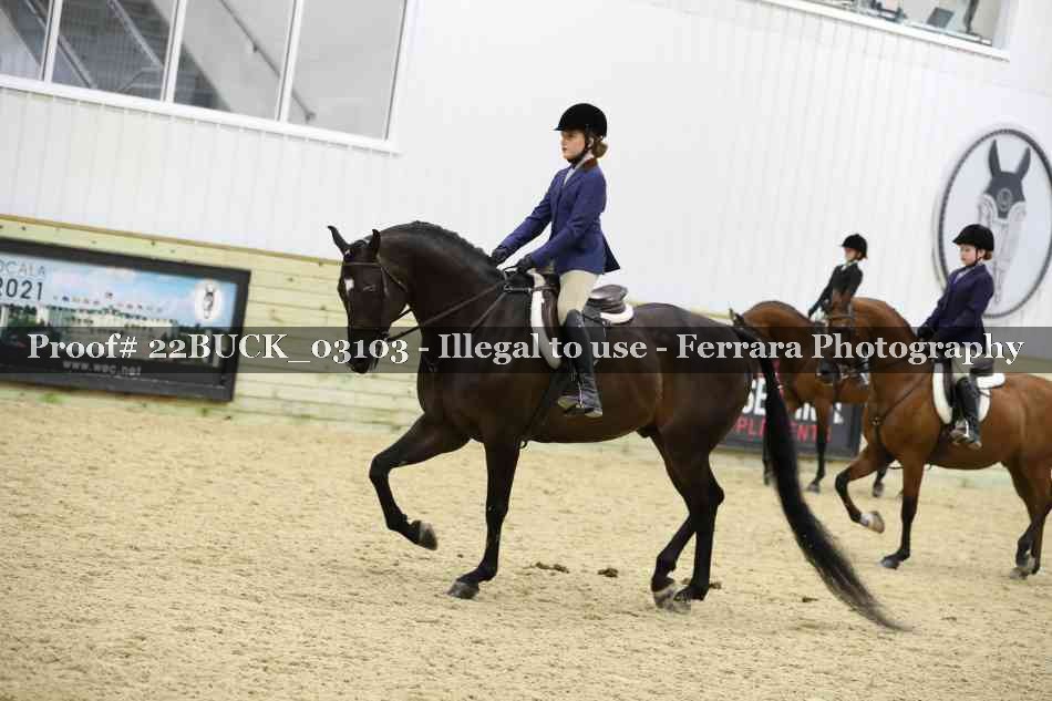 Proof 22BUCK_03103