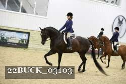 22BUCK_03103 proof
