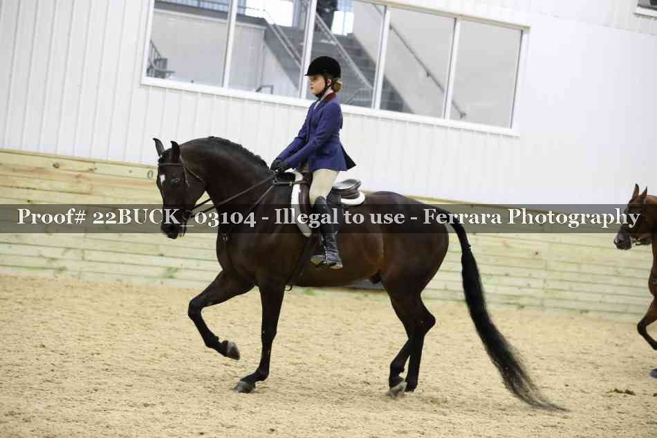 Proof 22BUCK_03104