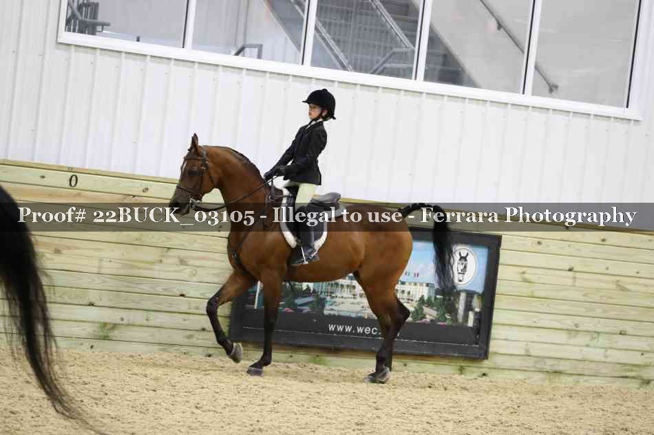 Proof 22BUCK_03105