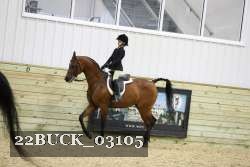 22BUCK_03105 proof