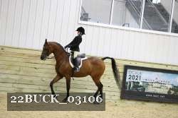 22BUCK_03106 proof
