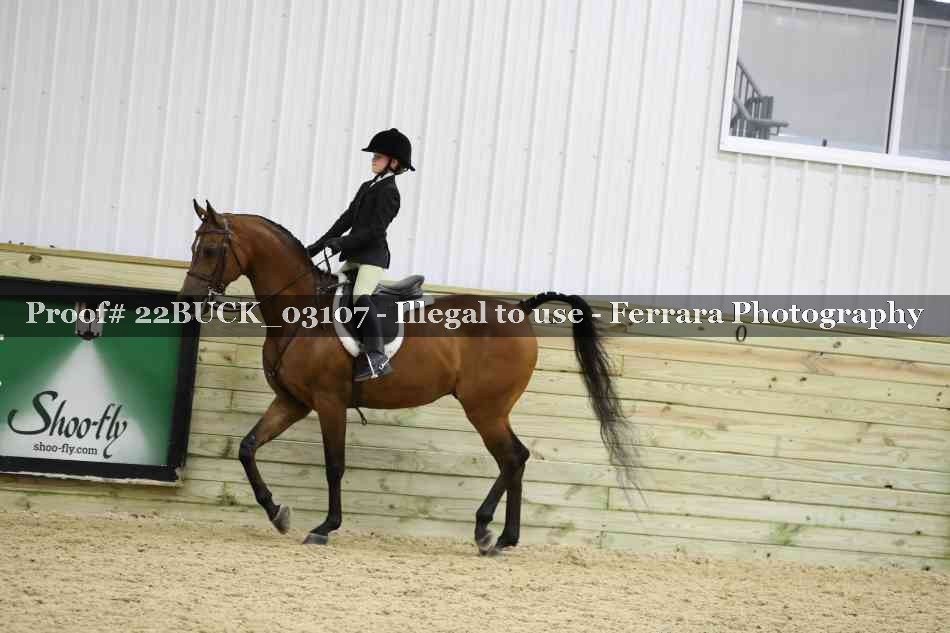 Proof 22BUCK_03107