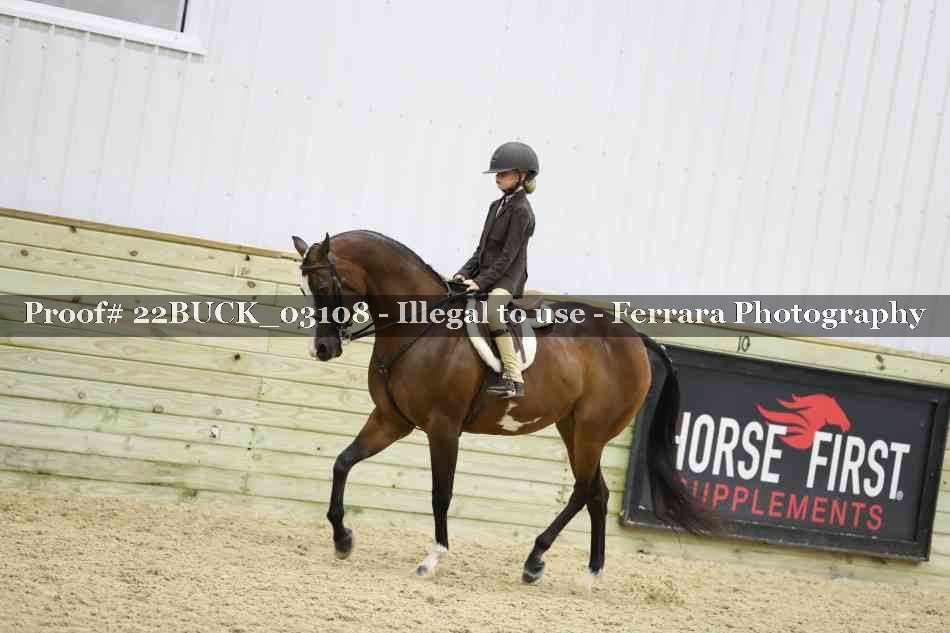 Proof 22BUCK_03108