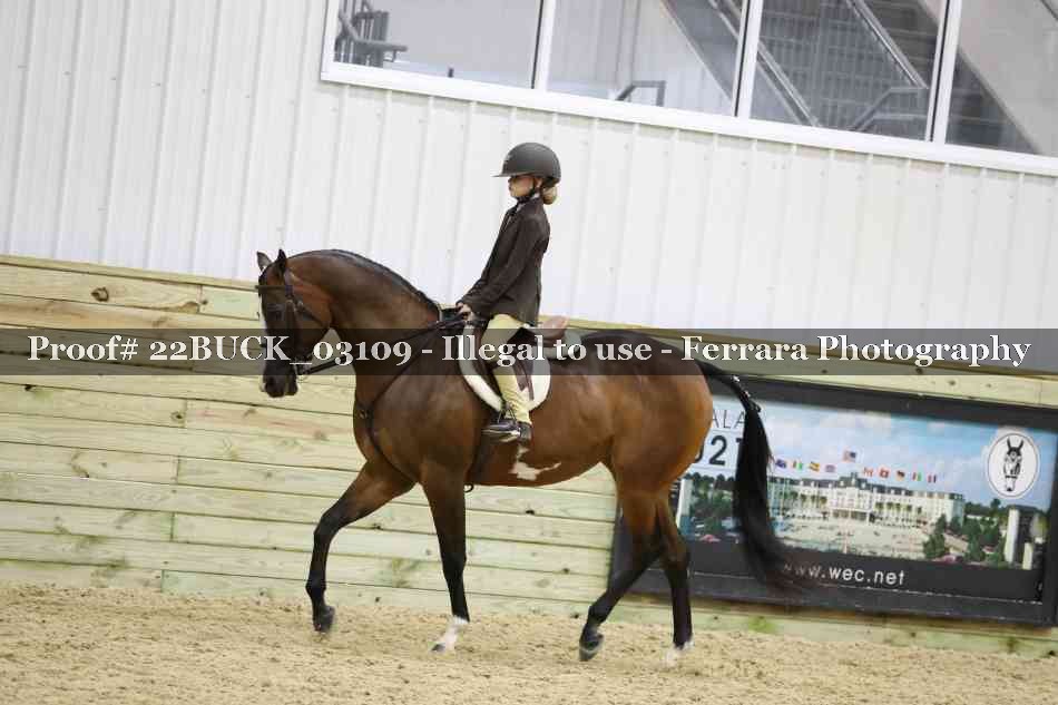 Proof 22BUCK_03109