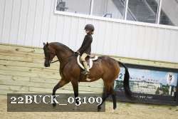 22BUCK_03109 proof