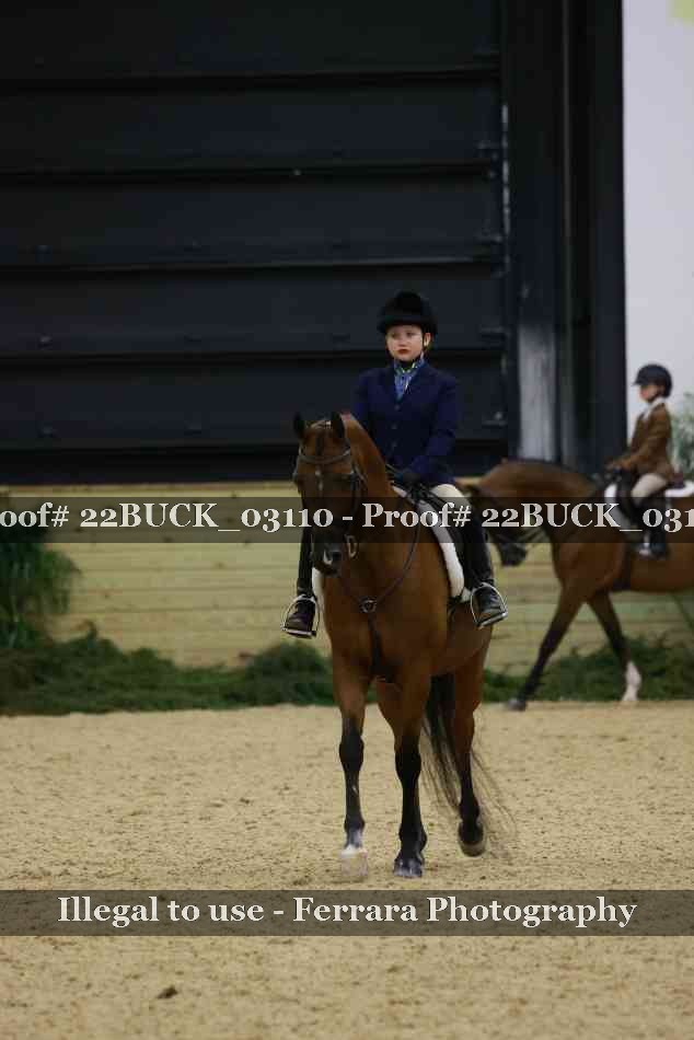 Proof 22BUCK_03110