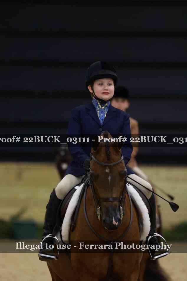 Proof 22BUCK_03111