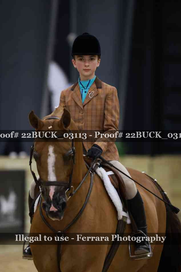 Proof 22BUCK_03113