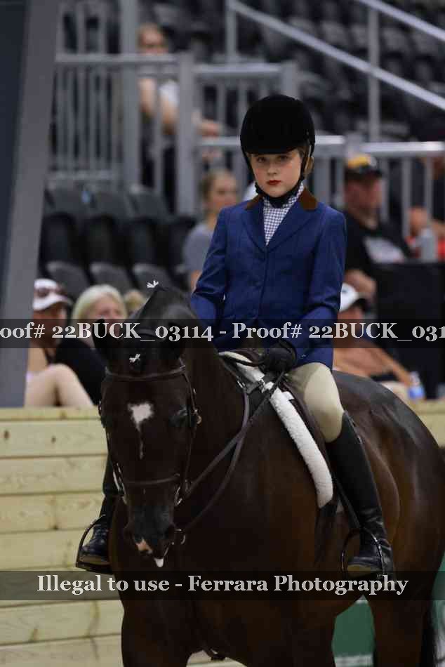 Proof 22BUCK_03114