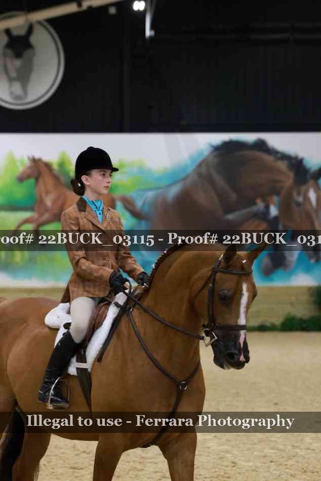 Proof 22BUCK_03115