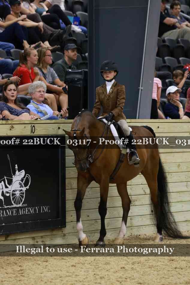 Proof 22BUCK_03117