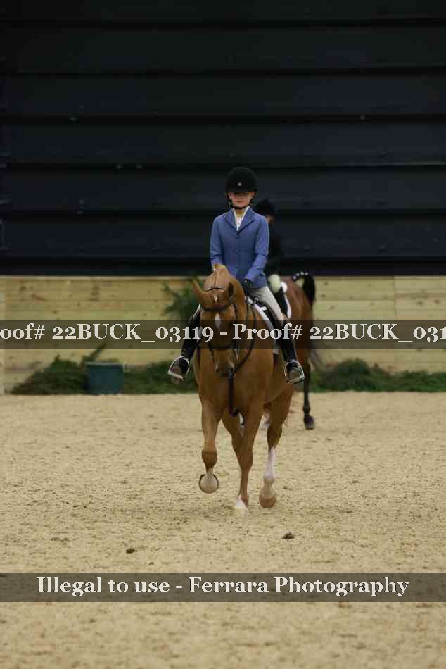 Proof 22BUCK_03119
