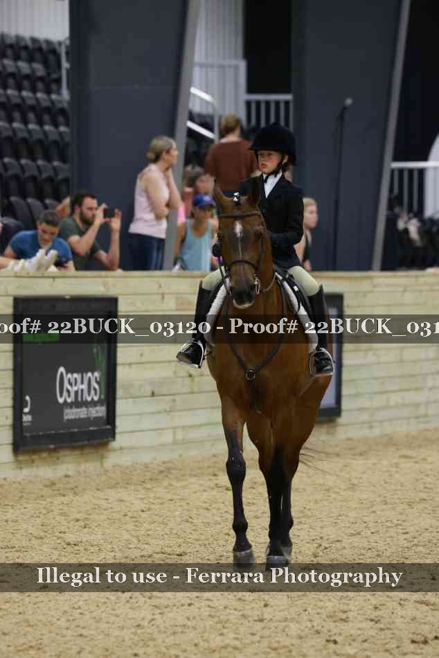 Proof 22BUCK_03120