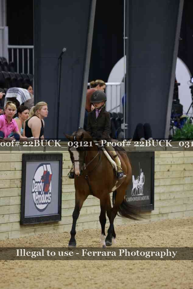 Proof 22BUCK_03121