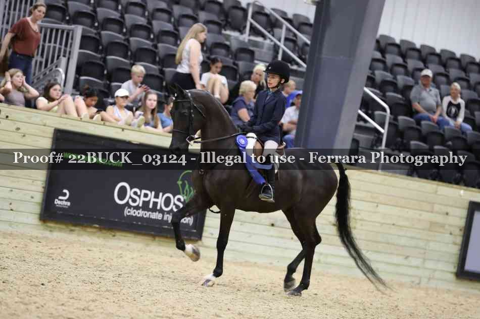 Proof 22BUCK_03124