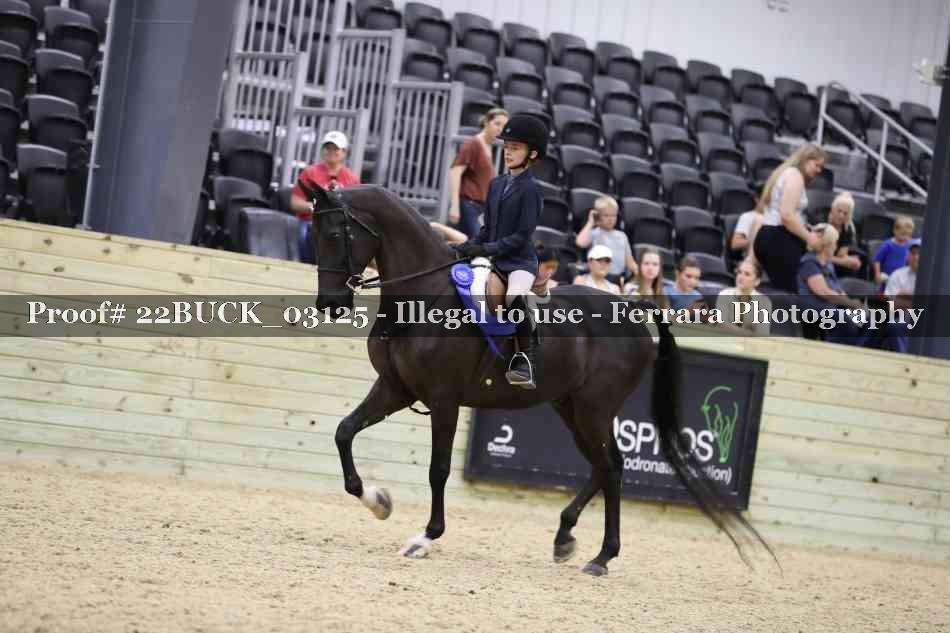 Proof 22BUCK_03125