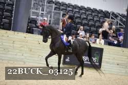 22BUCK_03125 proof