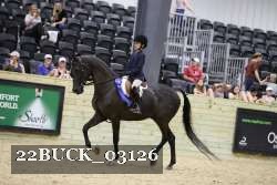 22BUCK_03126 proof