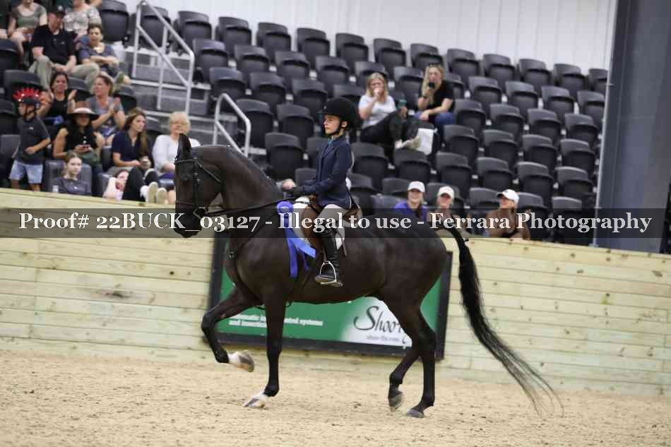 Proof 22BUCK_03127
