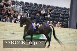 22BUCK_03127 proof