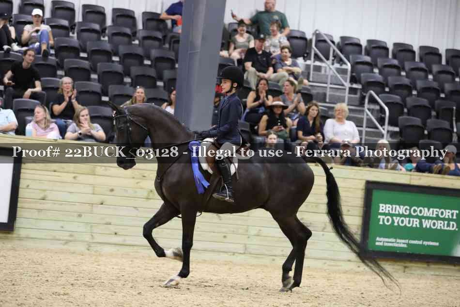 Proof 22BUCK_03128