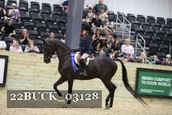 22BUCK_03128 proof
