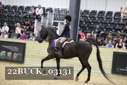 22BUCK_03131 proof
