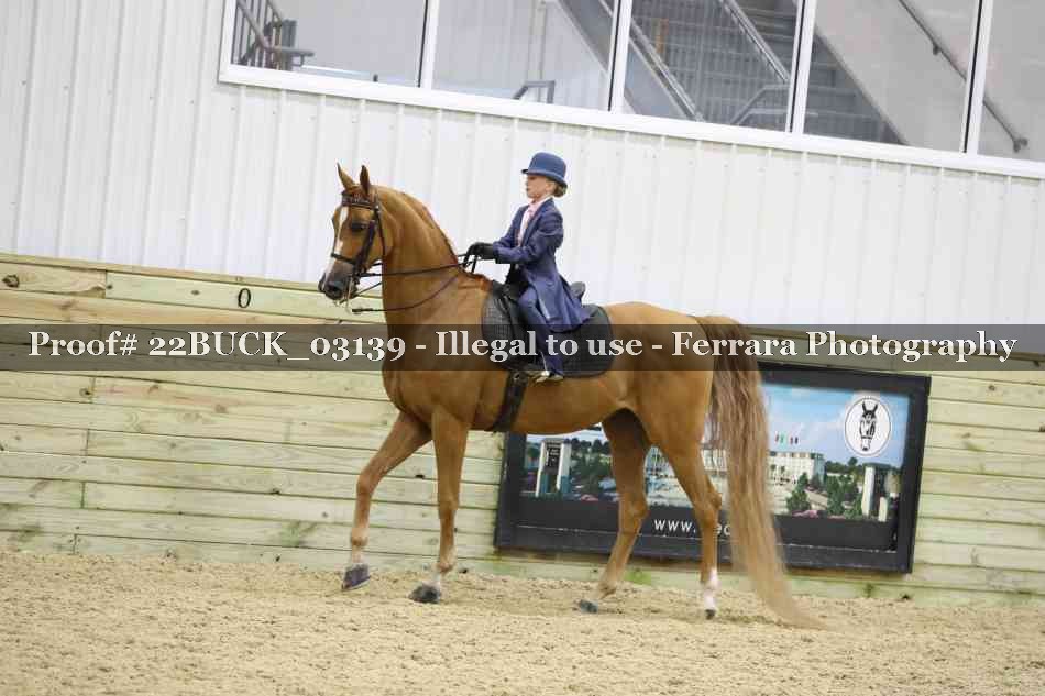 Proof 22BUCK_03139