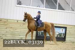 22BUCK_03139 proof