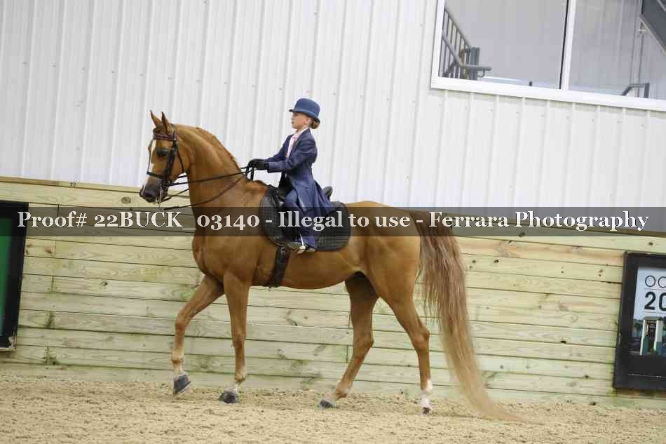 Proof 22BUCK_03140