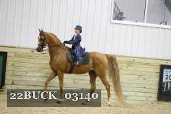 22BUCK_03140 proof