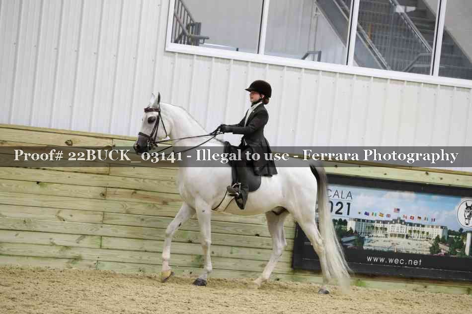 Proof 22BUCK_03141