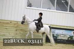 22BUCK_03141 proof
