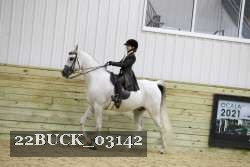 22BUCK_03142 proof